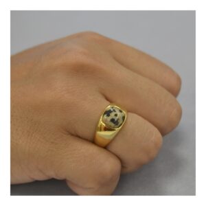 Anillo plata piedra zebra - Nirvana 8mm foto