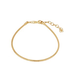 Pulsera plata basica Omega bañada oro