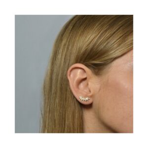 Pendientes trepadores plata y circonitas - Orbero foto