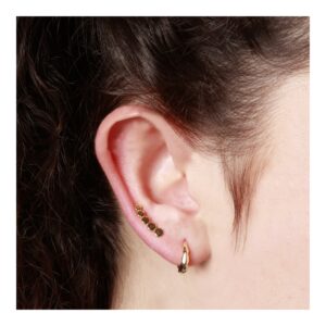Pendientes trepadores plata linea 5 circulos foto Pendientes trepadores plata linea 5 circulos foto