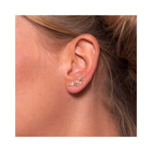 Pendientes trepadores plata rama Lilp foto
