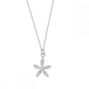 Gargantilla plata colgante flor 5 petalos rodiada