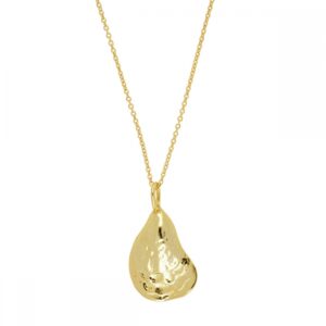 Gargantilla plata con charm pextina 18x12mm
