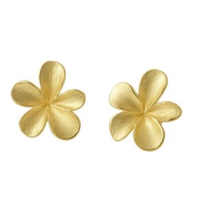 Pendientes plata flor 5 petalos - Erion