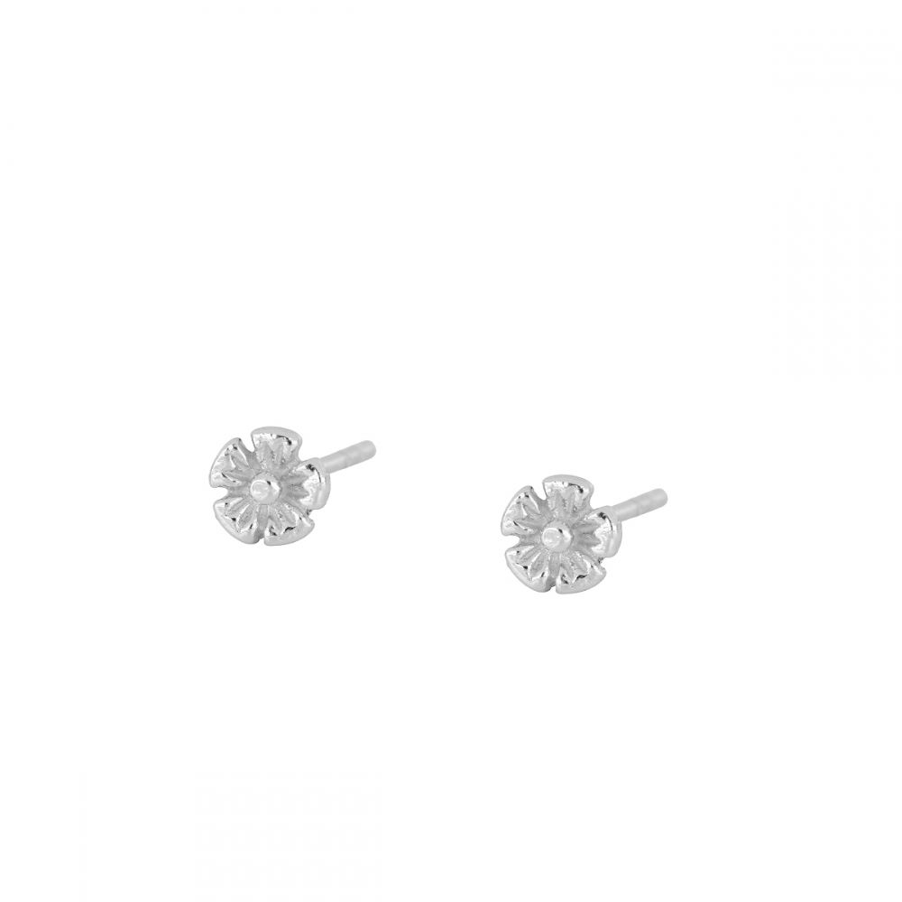 Pendientes plata flor margarita 5mm - Tuli Pendientes plata flor margarita 5mm - Tuli rodiada