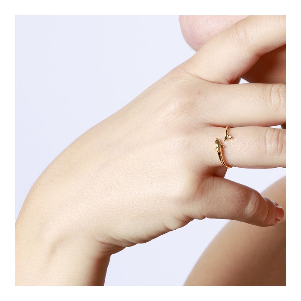 Anillo abierto plata 925 delfín Anillo abierto plata 925 delfín foto
