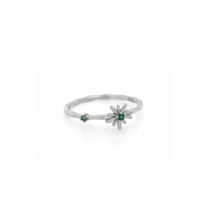Tienda Joyas de plata Anillo plata ley 925 Sol verde rodio